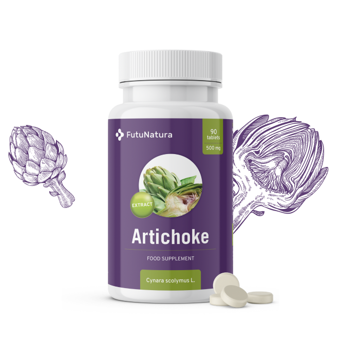 Artičoka