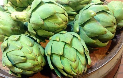 Artičoka (Cynara scolymus)