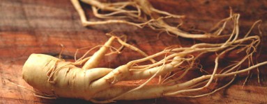 Ginseng (Panax)