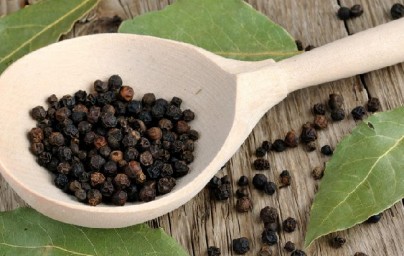 Papar (Piper nigrum)