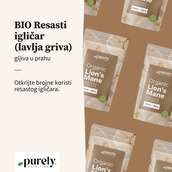 Image preview 2
