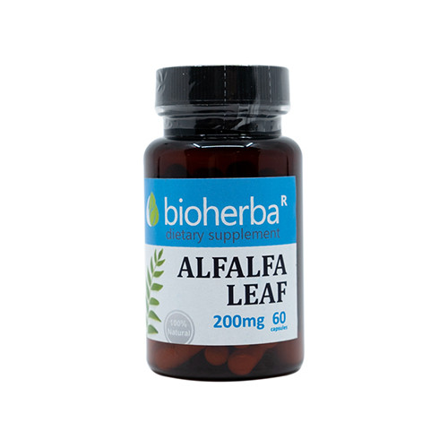 Alfalfa kapsule