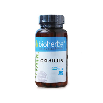 Celadrin 120 mg