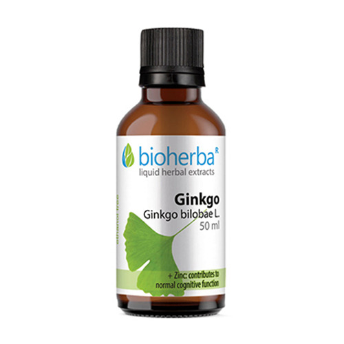 Ginko biloba tinktura.