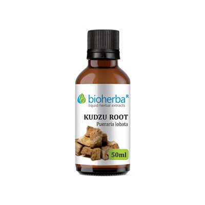 Kudzu root (japanski marant)