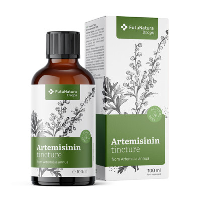 Artemizinin – tinktura od slatkog pelina