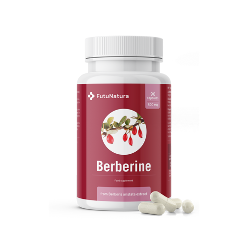 Berberin 500 mg iz ekstrakta Berberis aristata

Berberin 500 mg iz ekstrakta Berberis aristata