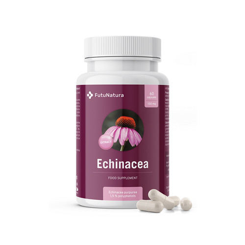 Echinacea