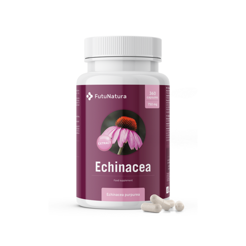Ehinaceja - ekstrakt 10:1, 360 kapsula