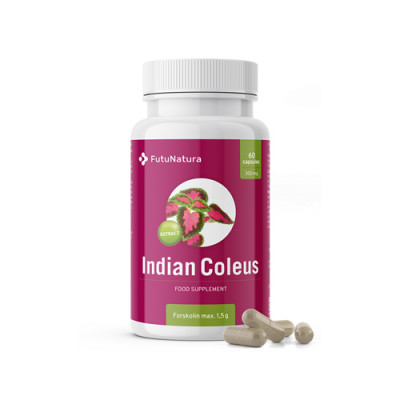 Indijska kopriva - Forskolin