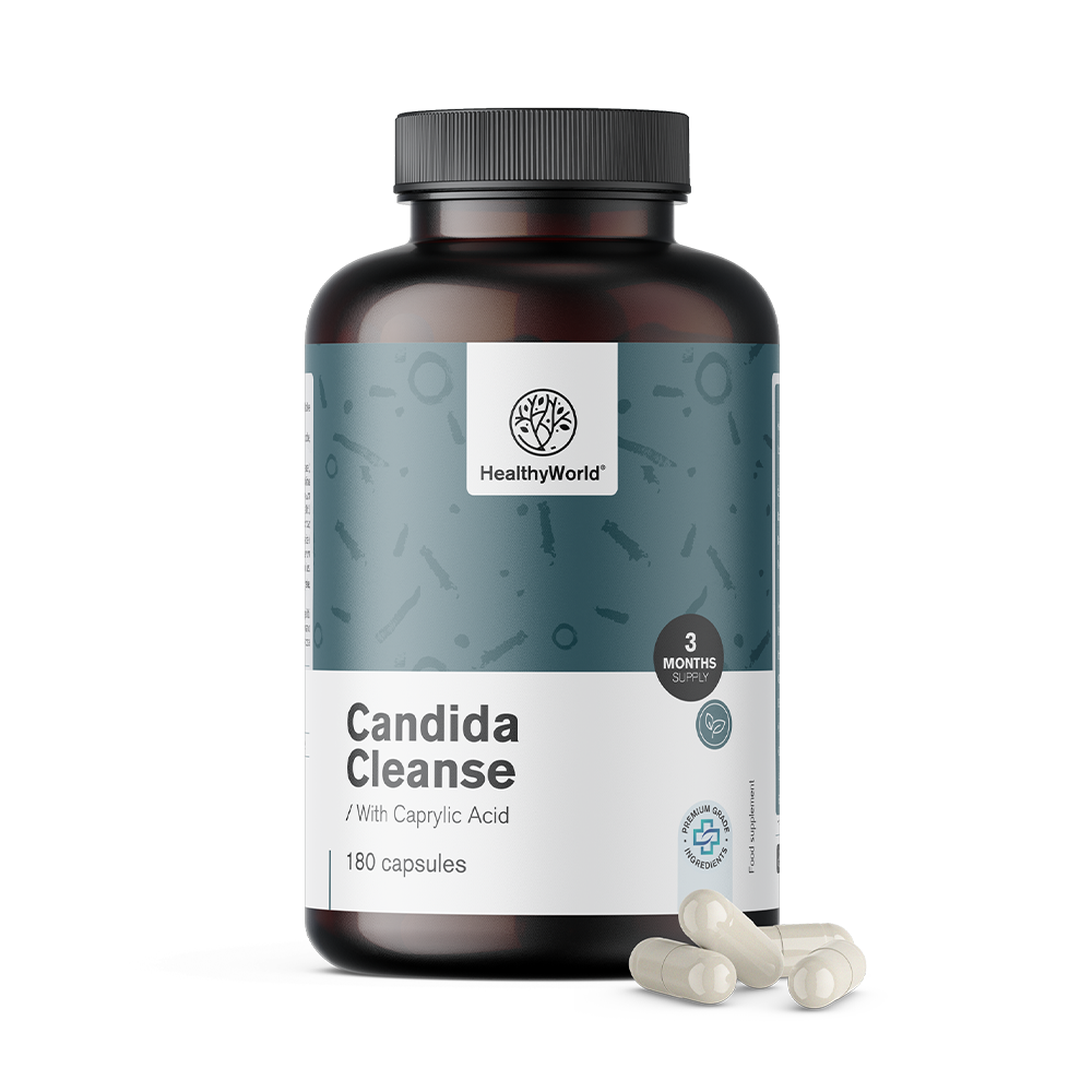 Candida Cleanse s mikrobiološkim kulturama.