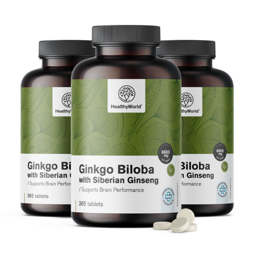 3x Ginko biloba sa sibirskim ginsengom 6600 mg, ukupno 1095 tableta