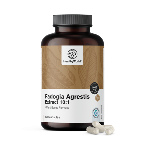 Fadogia Agrestis 1000 mg u kapsulama.