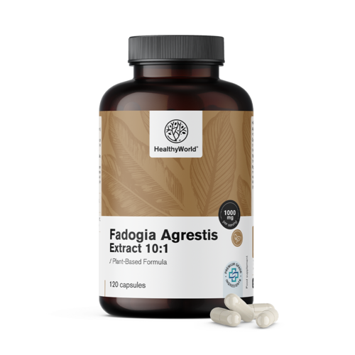 Fadogia Agrestis 1000 mg, 120 kapsula