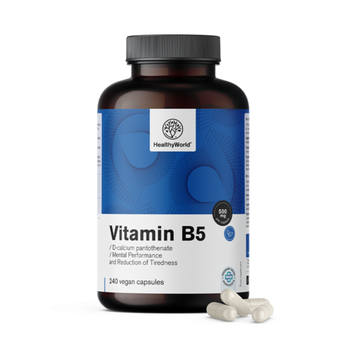 Vitamin B5 500 mg, 240 kapsula