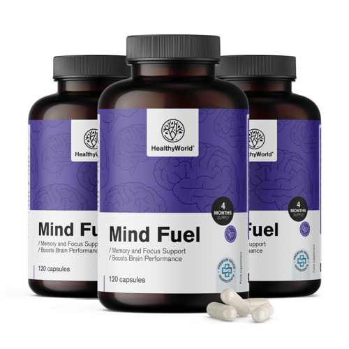 3x Mind Fuel - pamćenje i koncentracija, ukupno 360 kapsula
