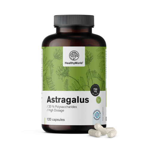Astragalus – ekstrakt, 120 kapsula