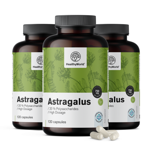 3x Astragalus – ekstrakt, ukupno 360 kapsula