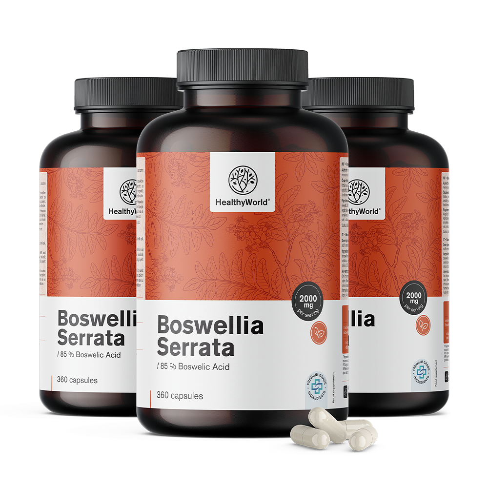 Bosvelija (Boswellia Serrata) – 85 % bosvelične kisline
