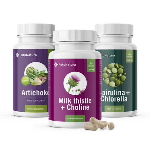 DETOX: Sikavica + Artičoka + Alge, komplet