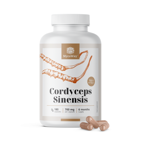 Cordyceps sinensis 1400 mg – ekstrakt 10:1, 180 kapsula
