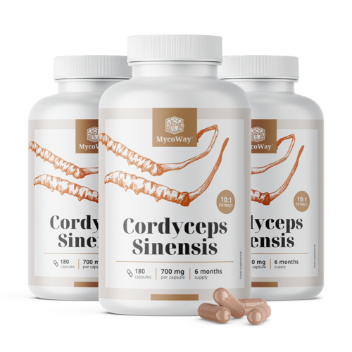 3x Cordyceps sinensis 1400 mg – ekstrakt 10:1, ukupno 540 kapsula
