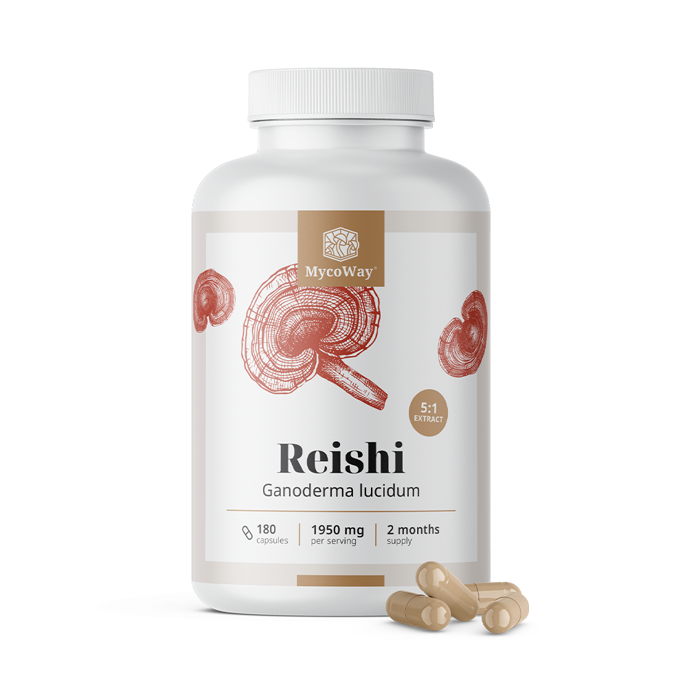 Reishi 1950 mg - ekstrakt 5:1.