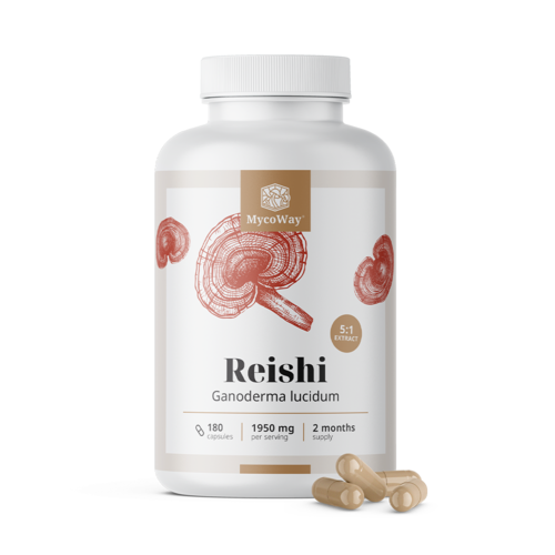 Reishi 1950 mg – ekstrakt 5:1, 180 kapsula
