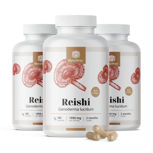 3x Reishi 1950 mg – ekstrakt 5:1, ukupno 540 kapsula