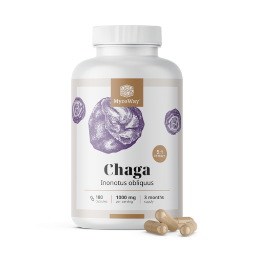 Chaga 1000 mg – ekstrakt 5:1, 180 kapsula