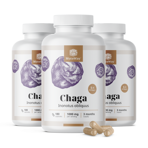 3x Chaga 1000 mg – ekstrakt 5:1, ukupno 540 kapsula