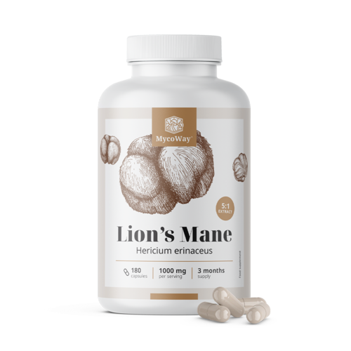 Resasti igličar 1000 mg – ekstrakt 5:1, 180 kapsula