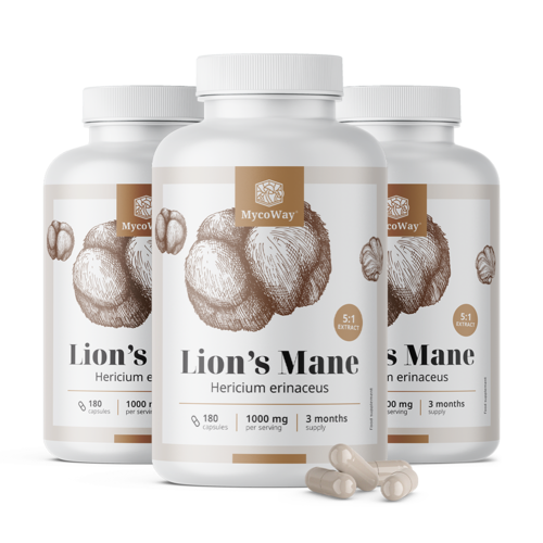 3x Resasti igličar 1000 mg – ekstrakt 5:1, ukupno 540 kapsula