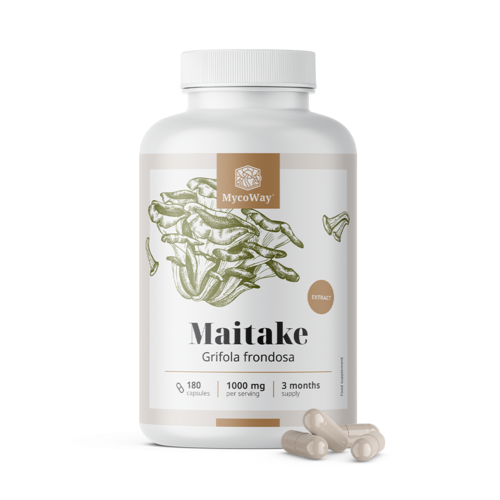 Maitake 1000 mg – ekstrakt, 180 kapsula