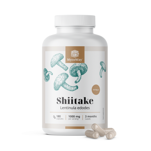 Shiitake 1000 mg – ekstrakt, 180 kapsula