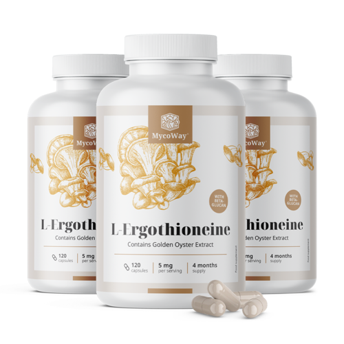 3x L-Ergotionein 5 mg, ukupno 360 kapsula