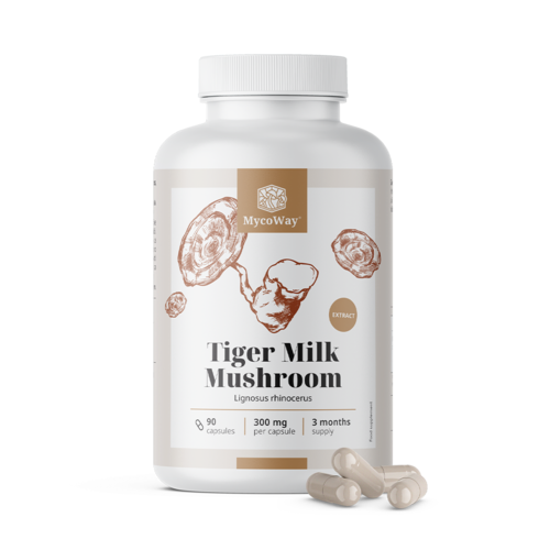 Tiger Milk 300 mg - ekstrakt gljive Lignosus rhinocerus, 90 kapsula
