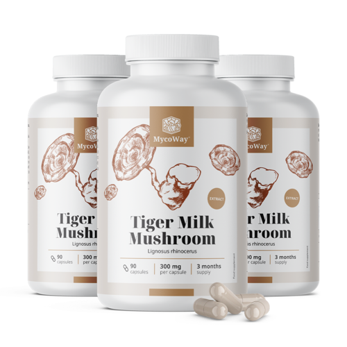 3x Tiger Milk 300 mg - ekstrakt gljive Lignosus rhinocerus, ukupno 270 kapsula