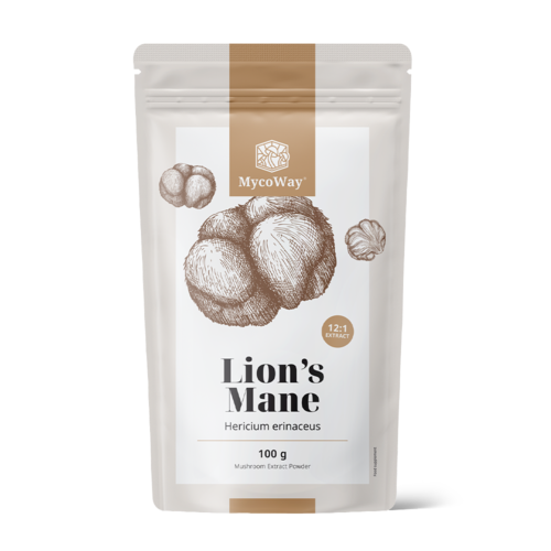 Resasti igličar (lavlja griva) - ekstrakt 12:1, 100 g