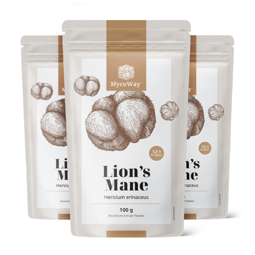 3x Resasti igličar (lavlja griva) - ekstrakt 12:1, ukupno 300 g