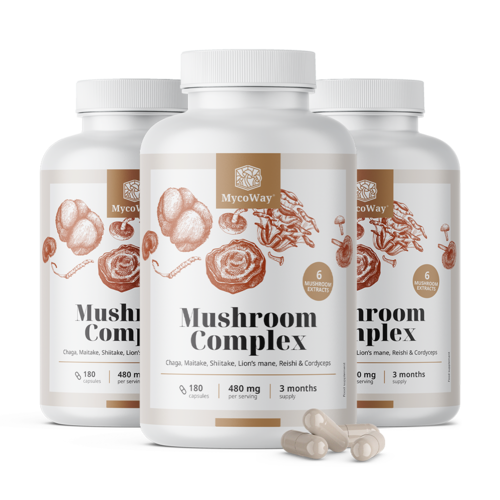 3x Kompleks gljiva, ukupno 540 kapsula
