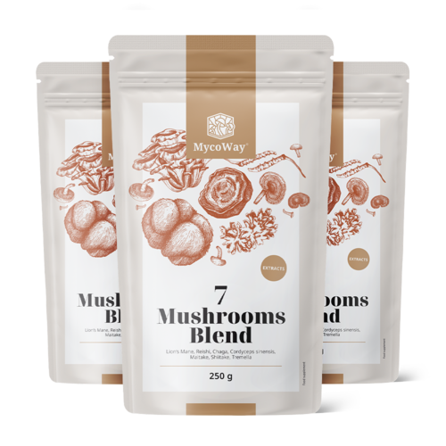 3x Mješavina ekstrakata sedam gljiva u prahu, ukupno 750 g