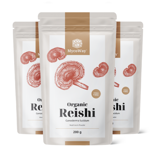 3x BIO Reishi u prahu, ukupno 600 g