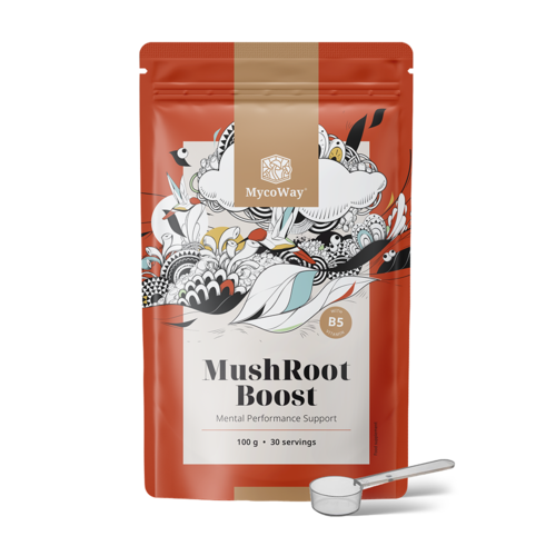 MushRoot Boost - napitak za mentalnu sposobnost, 100 g