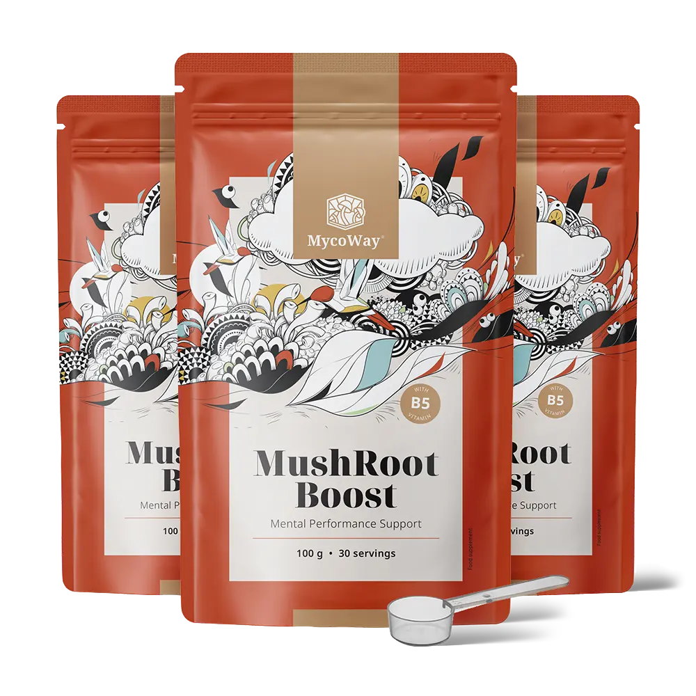 MushRoot Boost – napitak za mentalnu sposobnost