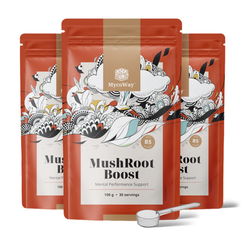 3x MushRoot Boost - napitak za mentalnu sposobnost, ukupno 300 g