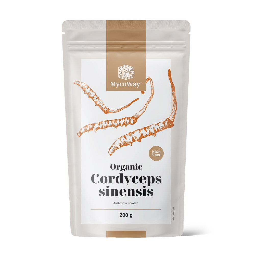BIO Cordyceps sinensis u prahu