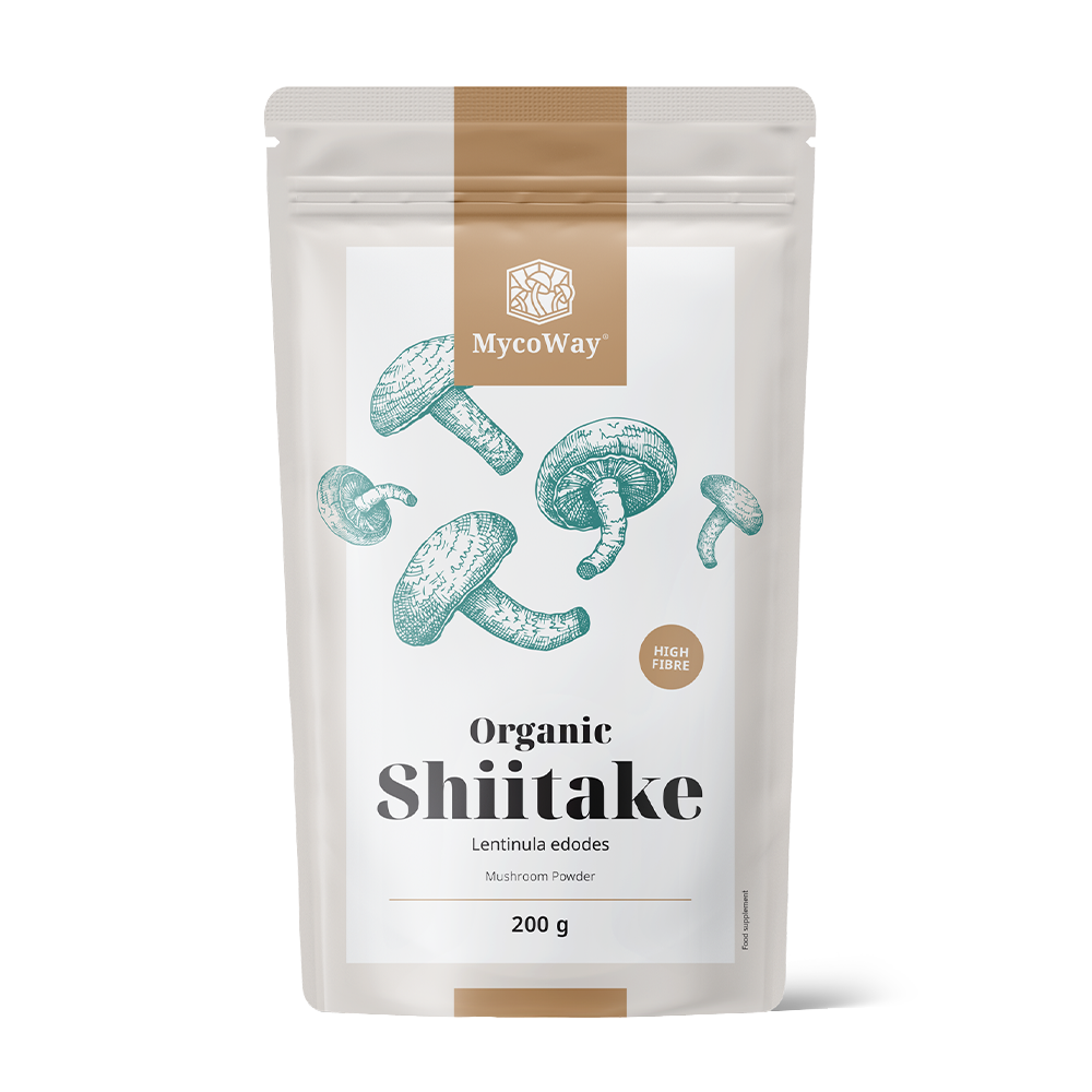 BIO Shiitake u prahu