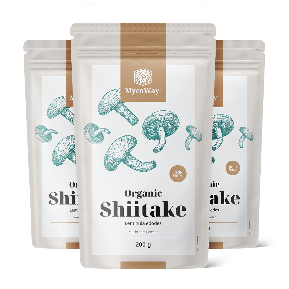 BIO Shiitake v prahu