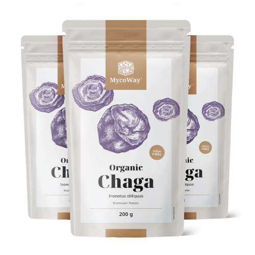 3x BIO Chaga u prahu, ukupno 600 g